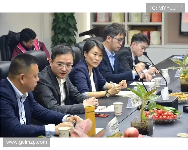 太阳娱乐广州有限公司最新动态与发展战略全面解析助力玩家了解企业未来发展方向